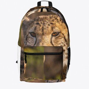 Bagpack.
